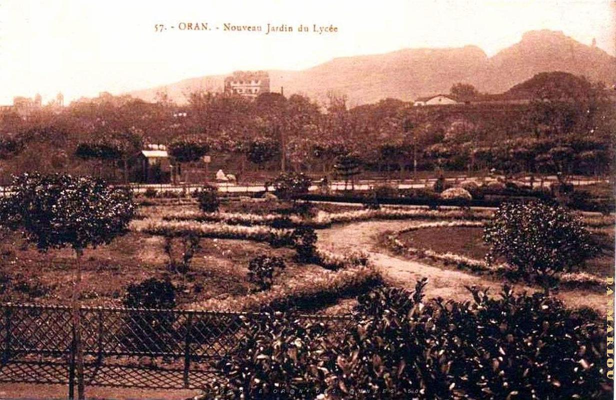 Z ORAN 1910-1930- 12.JPG